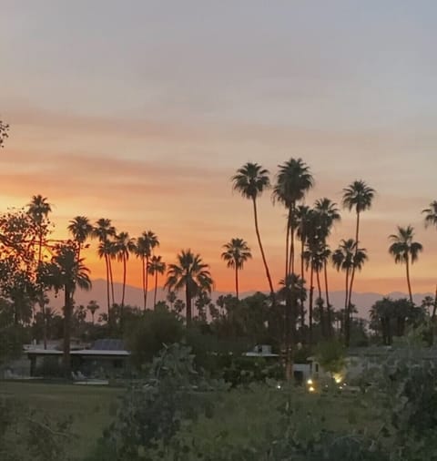 Actual view - desert sunset from the patio