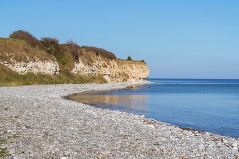 Beach nearby, white sand