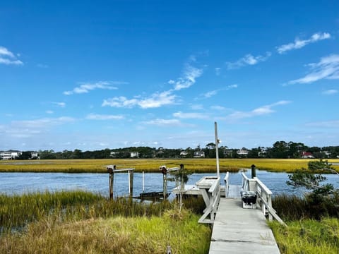 private dock over marsh