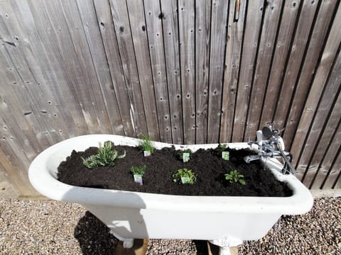 Garden | Drapers Cottage, Lubenham, near Market Harborough