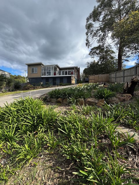 Front yard