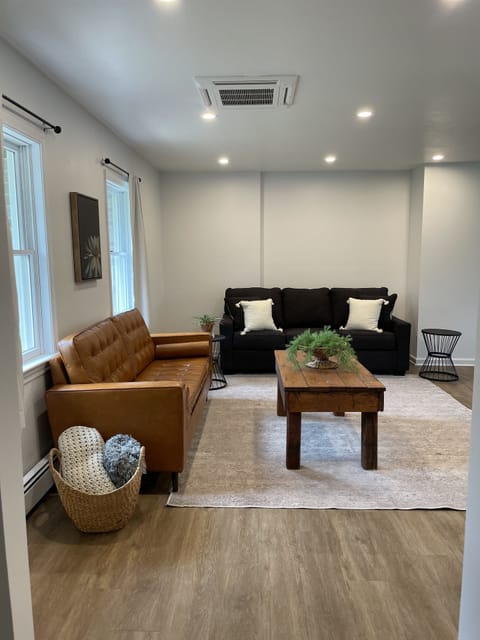 Living room with sofa bed 