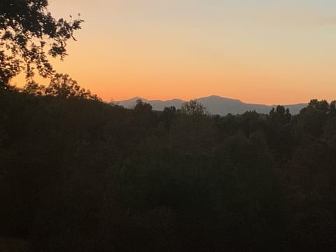 Blue Ridge Vista.