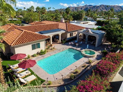 Gorgeous backyard