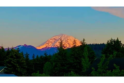 Mount Rainier from the back yard.