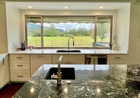 Island looking across kitchen sink to back yard
