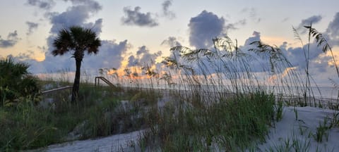 Our beautiful beach entrance