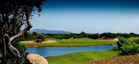 Golf