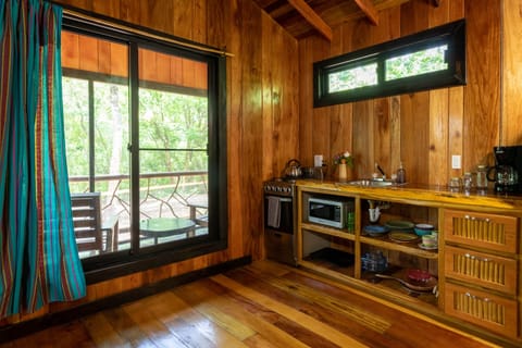 Huge window with perfect view for bird watching (binoculars and bird identification book provided!)