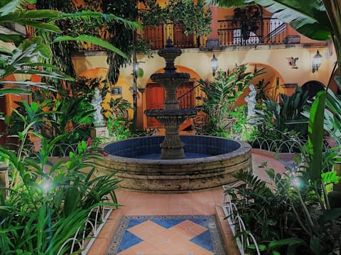 Garden
