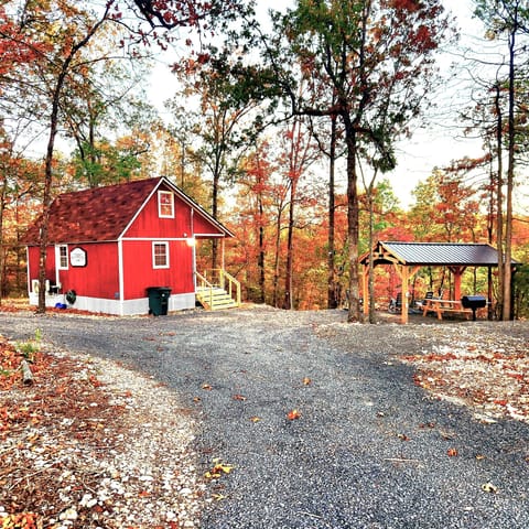 - Forest cabin setting with wide open outdoor space   - Rustic red cabin surrounded by seasonal colors   - Peaceful getaway ideal for nature lovers
