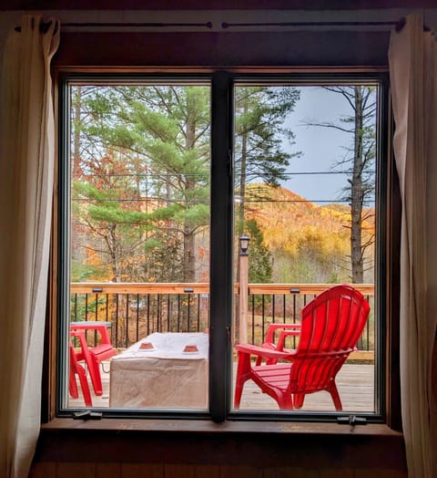 Window view from couch,  looking out onto beautiful fall foliage on Snyder Hill