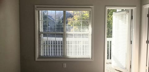 Livingroom Window/Patio