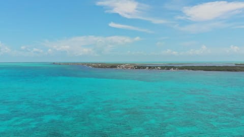 The view .... UnBelizeable!