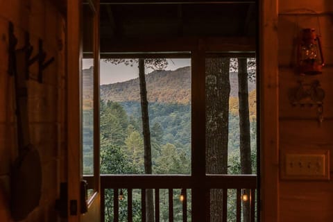 View from the front porch, surrounded by forest and Rich Mountain Wilderness views.