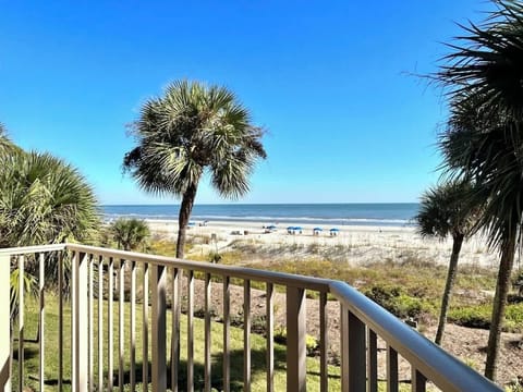 View from Patio