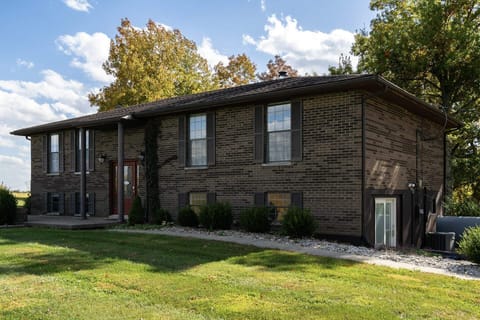 Mature Forest in Back Yard. 