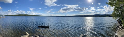 Private rocky beach with over 230' of lake frontage.