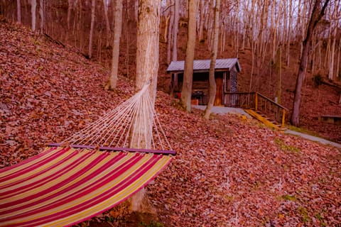 Cabin View from Hammocks