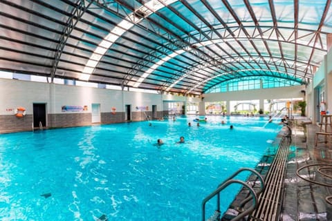Indoor pool, sun loungers