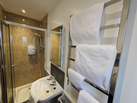 Twin Room | Bathroom | Shower, hair dryer, towels