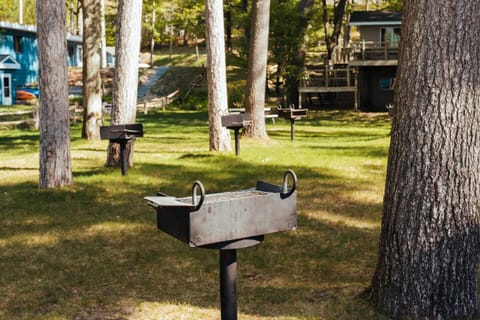 Bring some charcoal and lighter fluid and enjoy a barbecue with your group in the yard.