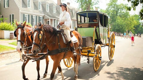 Carriage rides are popular but BOOK EARLY (same day) as reservations go fast!