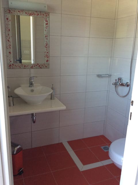 Deluxe Double Room | Bathroom | Shower, hair dryer, towels