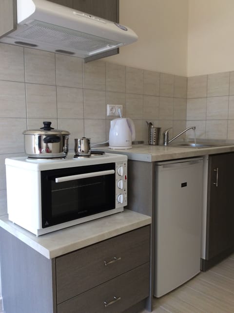 Deluxe Double Room | Private kitchen | Mini-fridge, cookware/dishes/utensils