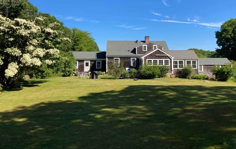 Property grounds (back yard)