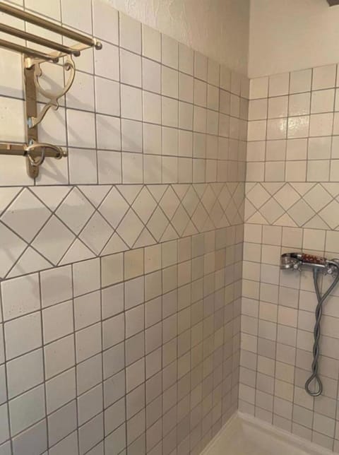 Shower, towels, toilet paper