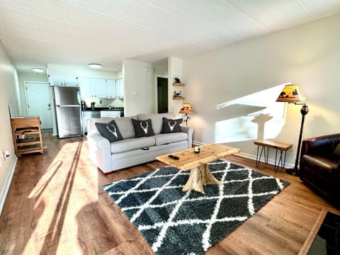 Living room and kitchen