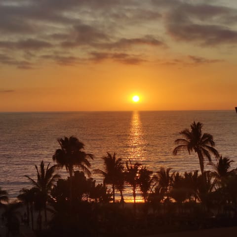 Beautiful view