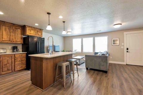 Sleepy Ridge Apt Kitchen and living areas