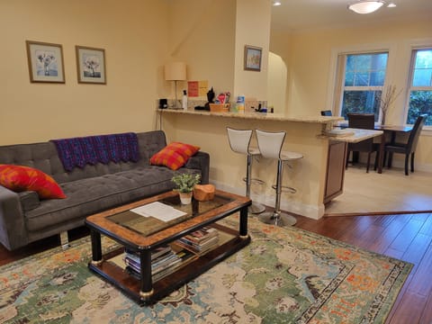 The living room area whith the folding sofa bed.