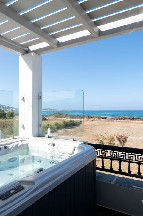 Traditional Suite | Terrace/patio