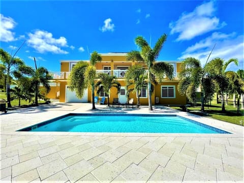 Paradise Palms