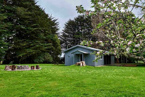 Fire pit in your Backyard.