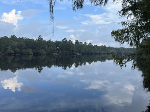 View from the lookout