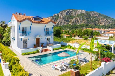 Beautiful villa with private pool and terrace