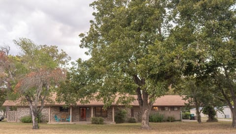 Spacious house with a large yard with lillies, pecan trees and a pear tree
