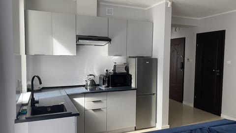 Deluxe Apartment, 2 Bedrooms, Sea View | Private kitchen | Fridge, microwave, stovetop, dishwasher