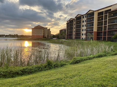 beautiful sunsets over the lake