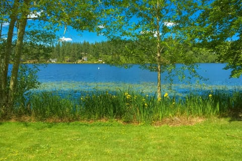 Welcome to the Lake!
