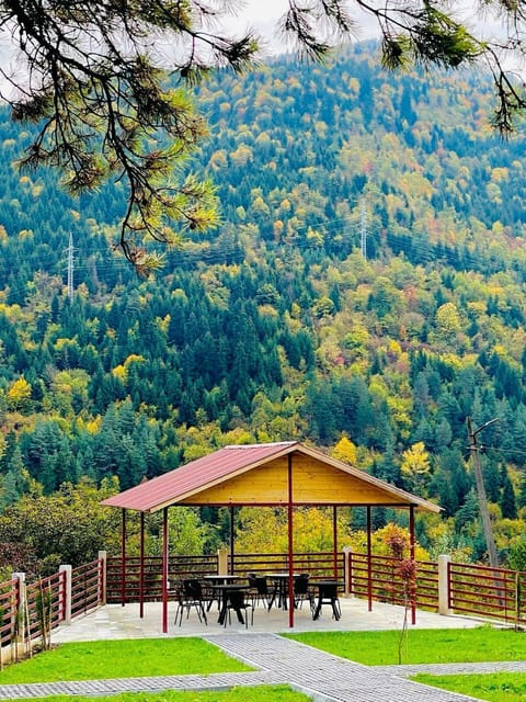 BBQ/picnic area