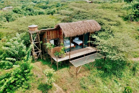 Grand Tree House