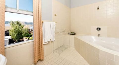 Combined shower/tub, deep soaking tub, free toiletries, hair dryer