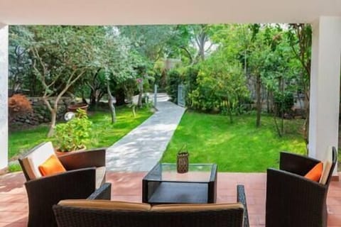 giardino esclusivo visto dal patio (2)