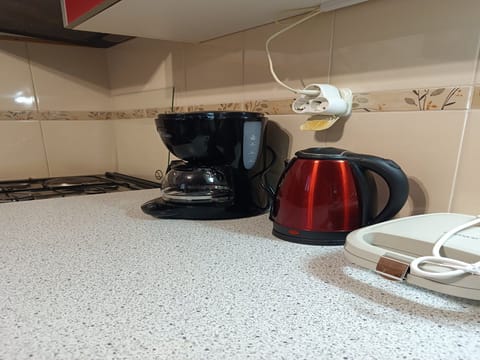 House (Two Bedroom Holiday Home with Terrace) | Private kitchen | Fridge