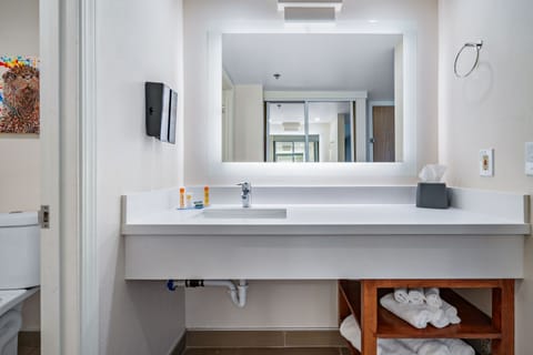 Combined shower/tub, hydromassage showerhead, free toiletries